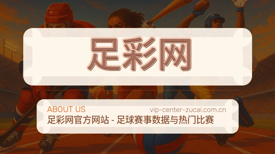 体育赛事服务团队与关于我们信息
